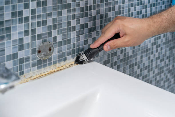  Laredo, TX Mold Removal Pros
